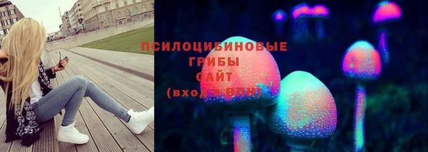 гидропоника Верхний Тагил