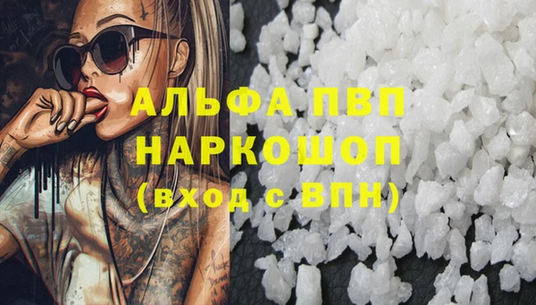 СК Володарск