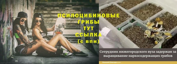 СК Володарск