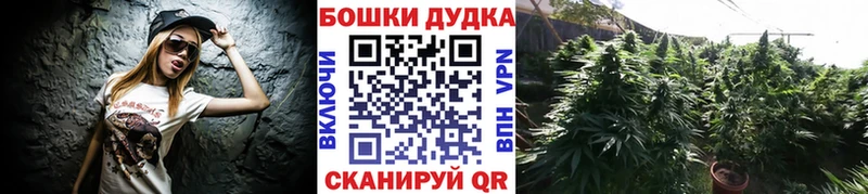 Каннабис Amnesia  Новомосковск 